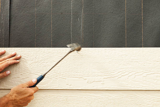 Best Historical Building Siding Restoration  in Clark, SD